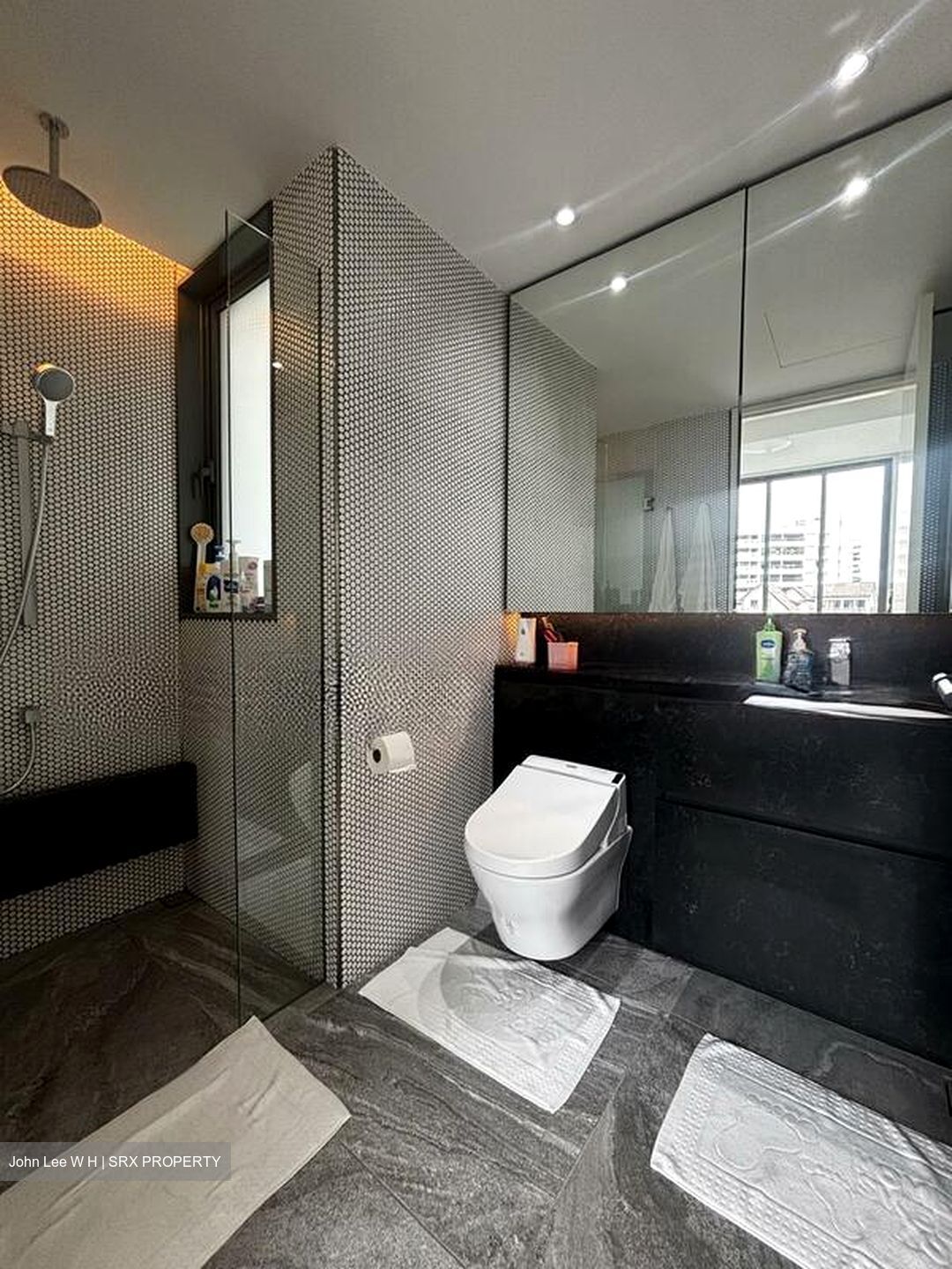 10 Evelyn (D11), Apartment #519020191